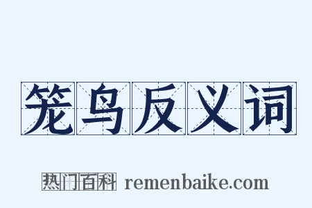 笼鸟反义词是什么意思的图片